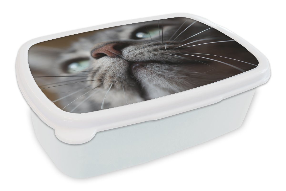 MuchoWow Lunchbox Katze - Nase - Schnurrhaare, Kunststoff, (2-tlg), Brotbox für Kinder und Erwachsene, Brotdose, für Jungs und Mädchen weiß