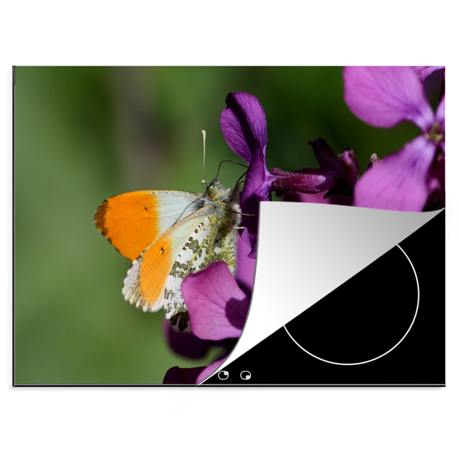 MuchoWow Herdblende-/Abdeckplatte Lila Blüten mit orangefarbenem Schmetterling an der Spitze, Vinyl, (1 tlg), 70x52 cm, Mobile Arbeitsfläche nutzbar, Ceranfeldabdeckung