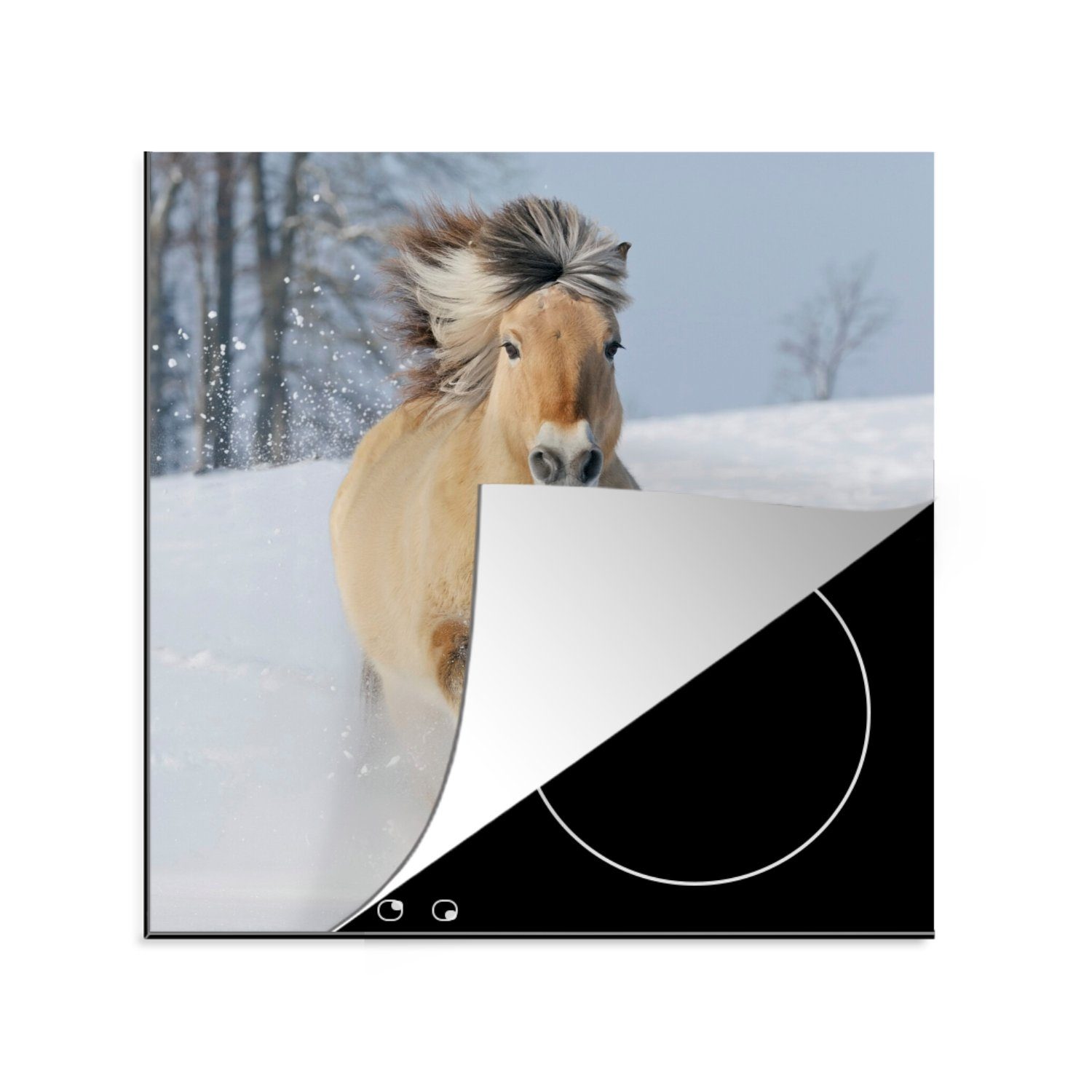 MuchoWow Herdblende-/Abdeckplatte Laufendes Fjordpferd 78x78 für Schnee, im Vinyl, tlg), (1 Ceranfeldabdeckung, küche cm, Arbeitsplatte