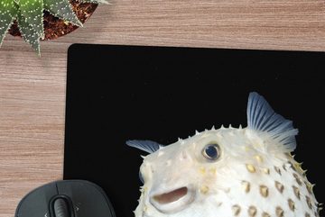 MuchoWow Gaming Mauspad Fische - Meerestiere - Porträt (1-St), Mousepad mit Rutschfester Unterseite, Gaming, 40x40 cm, XXL, Großes