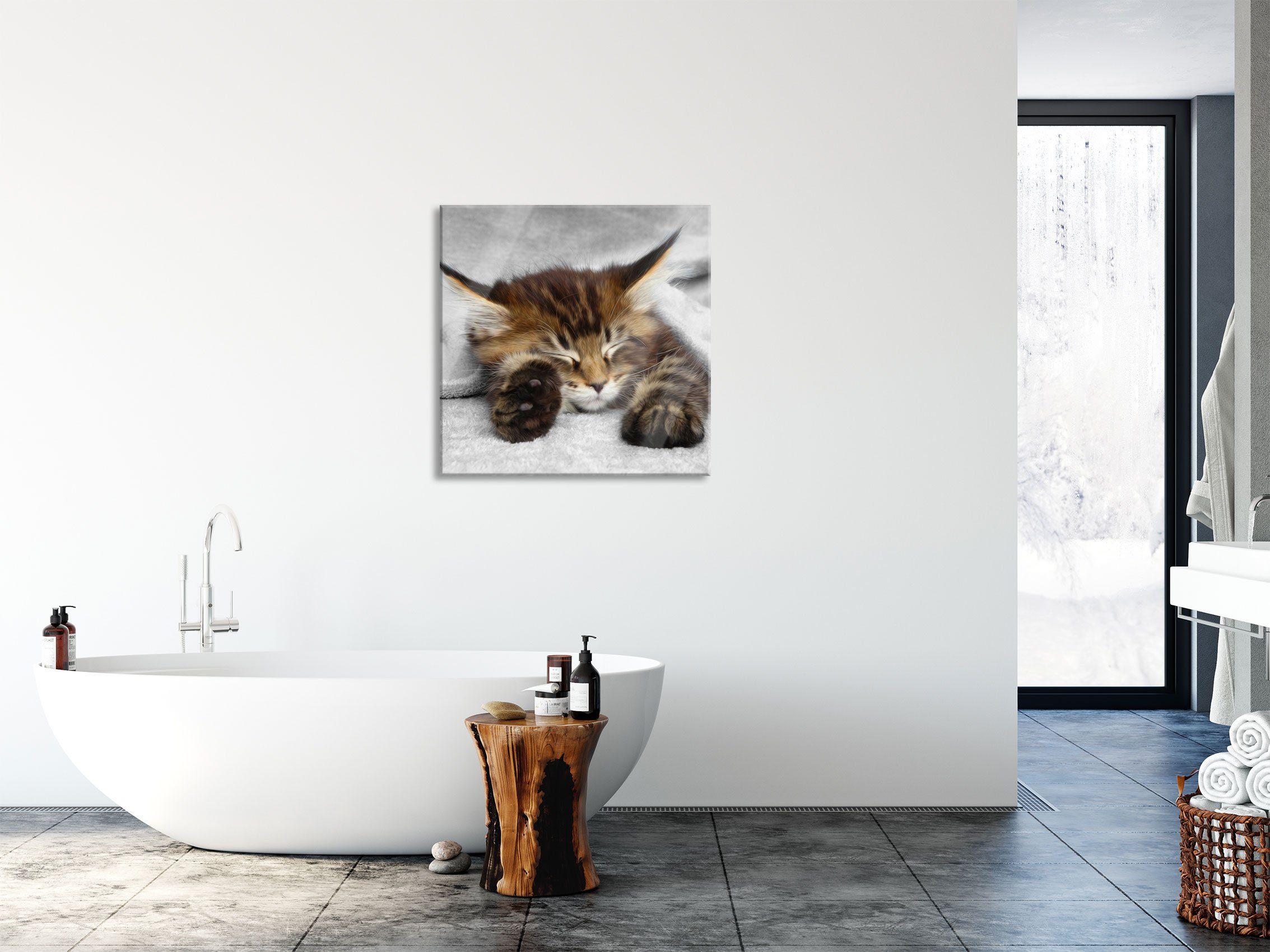 Aufhängungen inkl. großen aus großen St), schlafende und Pixxprint schlafende mit Echtglas, Ohren Ohren, Katze (1 Glasbild mit Abstandshalter Katze Glasbild