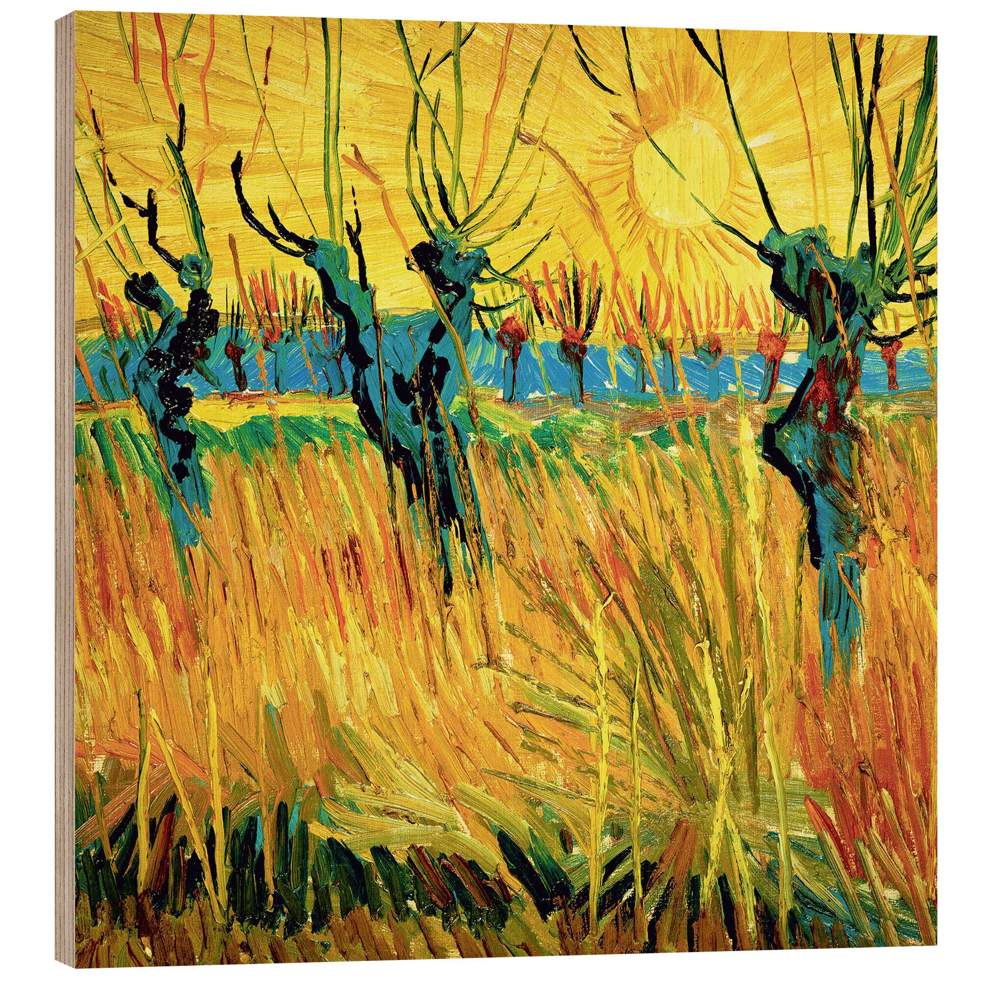 Posterlounge Wandbild Weiden bei Sonnenuntergang, Vincent van Gogh, erhältlich als Poster, Leinwandbild, Wandsticker oder Acrylglasbild