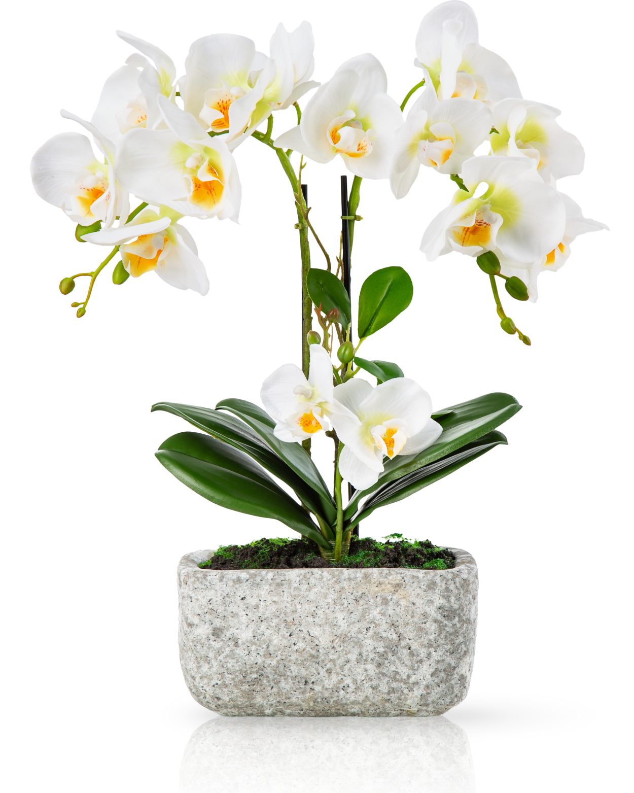 Kunstorchidee PASCH® Orchidee künstlich wie echt (40cm) in Urban Stone Töpfen Orchidee, PASCH, Real Touch Blüten, Handgefertigter Stone Cube