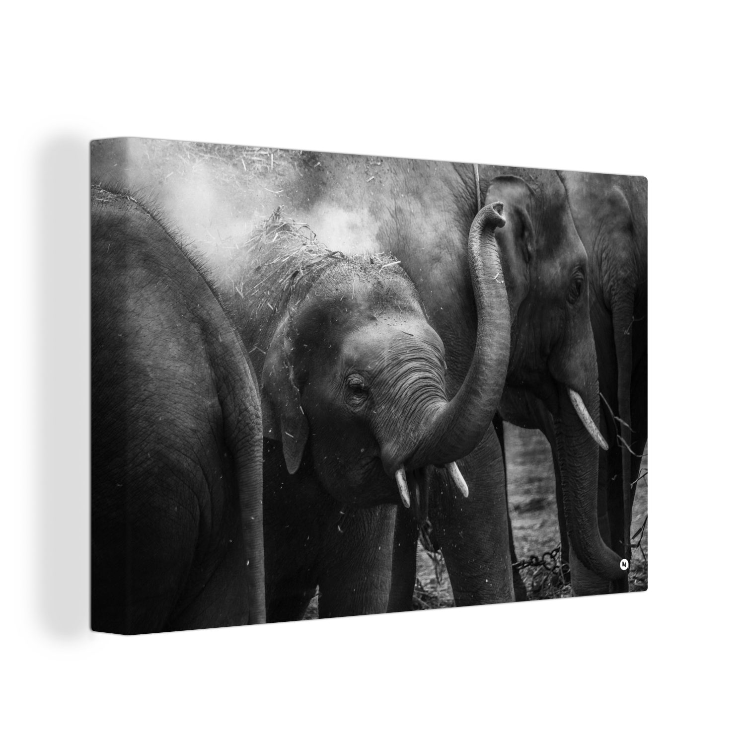 OneMillionCanvasses® Leinwandbild Indien - Elefant - Tiere, (1 St), Wandbild Leinwandbilder, Aufhängefertig, Wanddeko, 30x20 cm