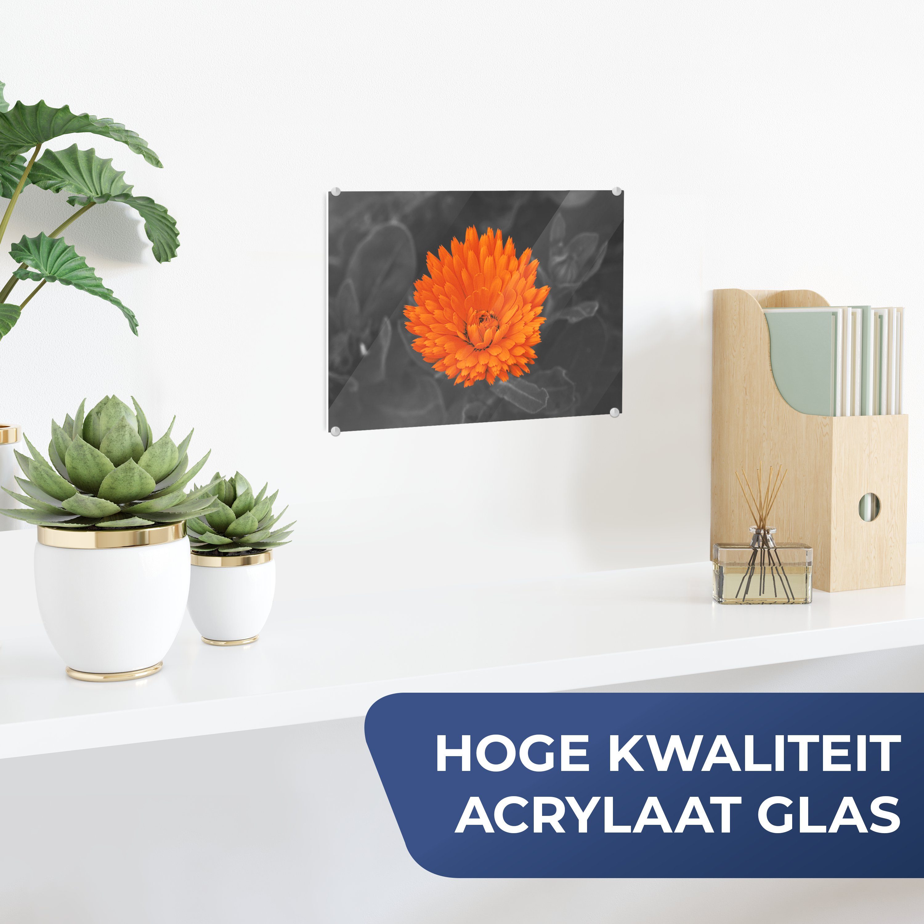 Schwarz - auf Foto - Glasbilder MuchoWow Glas (1 - - Wanddekoration Weiß, Glas - auf Blumen St), Bilder Orange - Wandbild Acrylglasbild