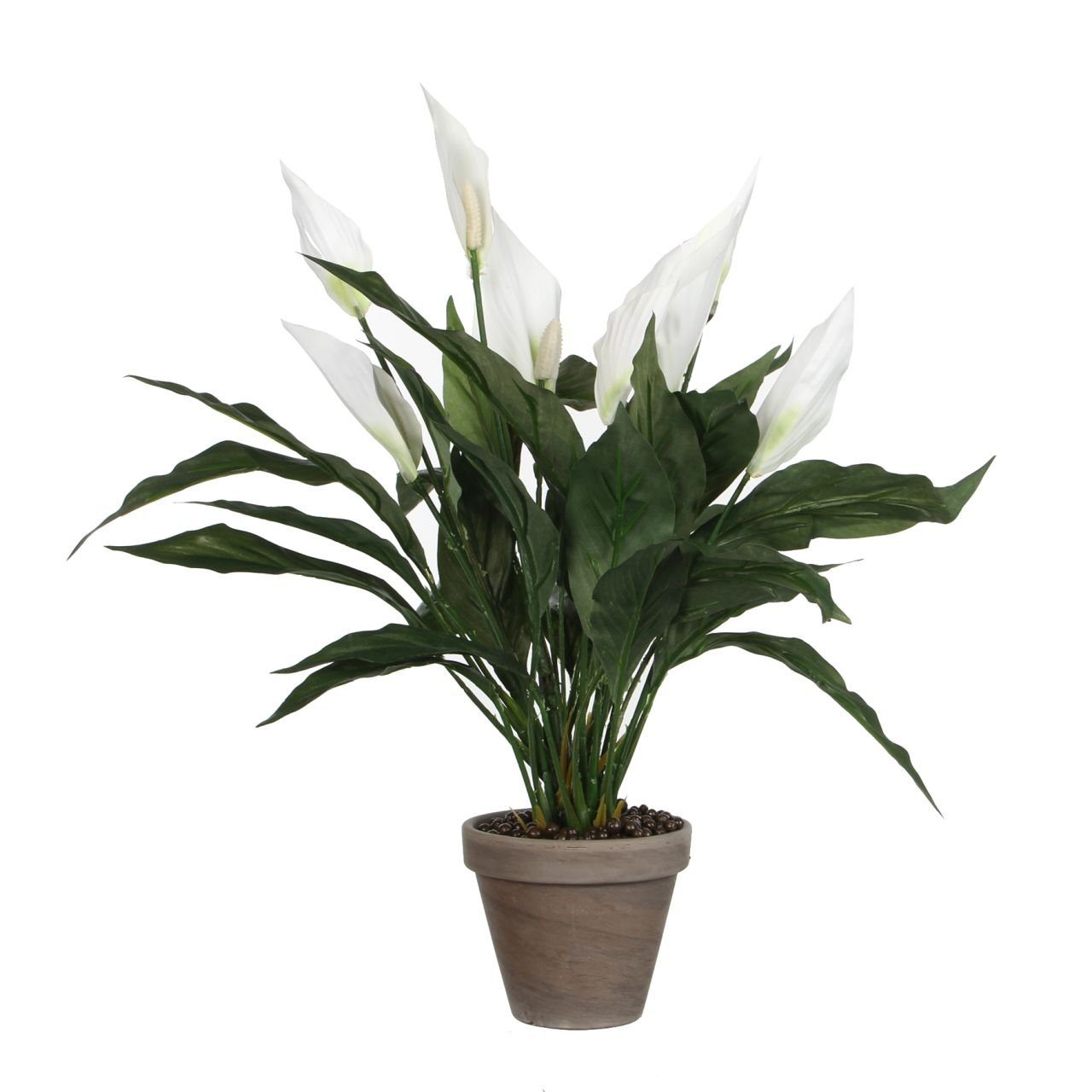 Topf 11,5, Mica Spathiphyllum Kunstpflanze im weiß Mica Kunstpflanze Decorations
