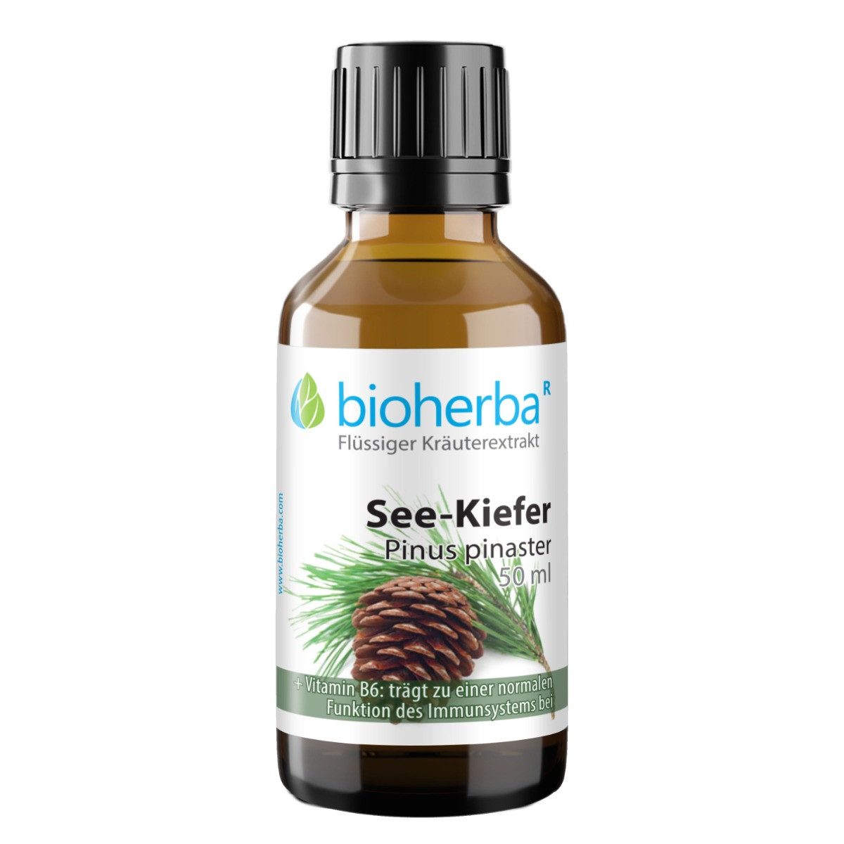 BIOHERBA R See-Kiefer Pinus pinaster Tropfen Tinktur 50 ml Nahrungsergänzungsmittel