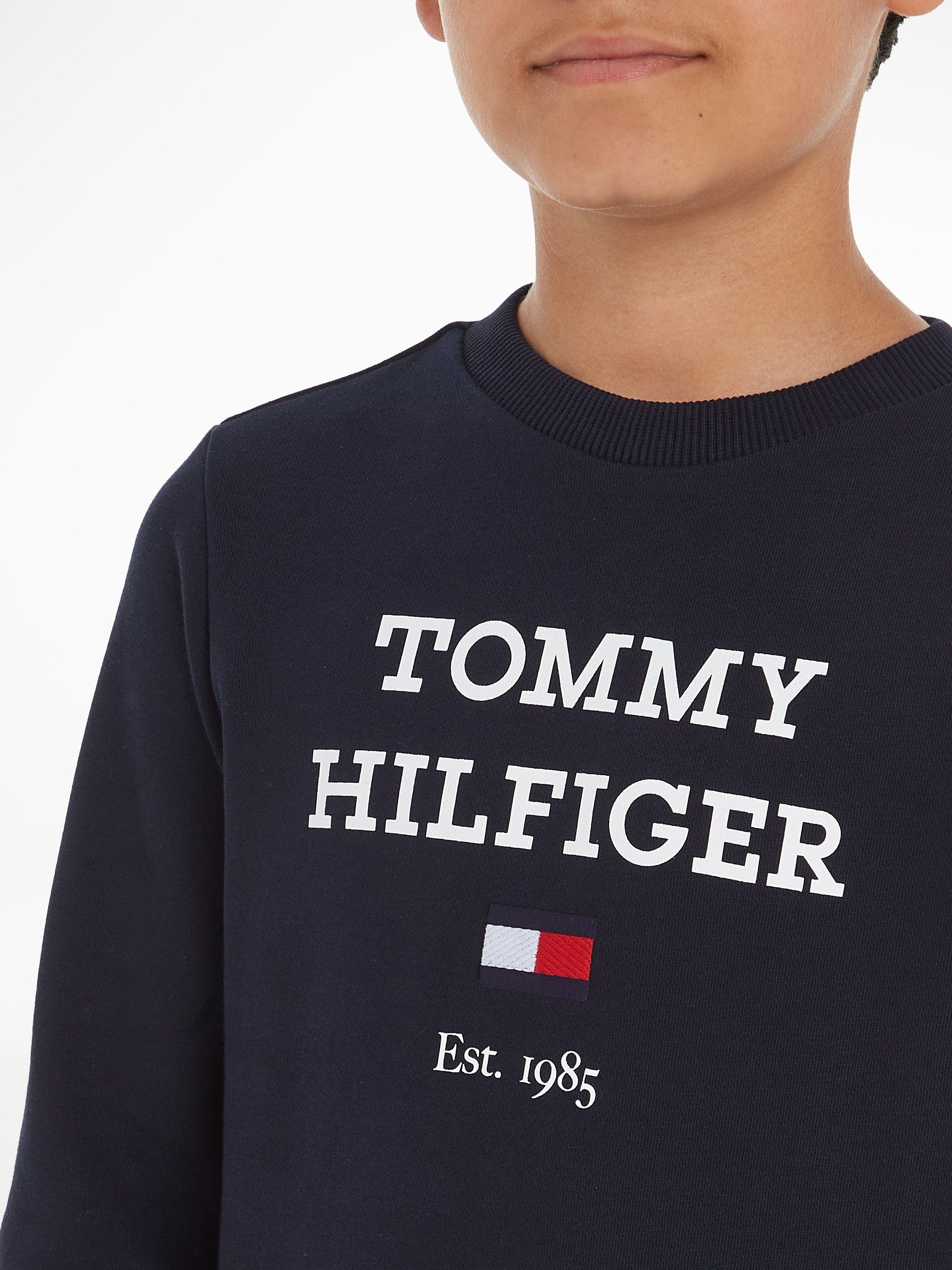 Tommy Hilfiger LOGO großem sky desert mit Logo TH Sweatshirt SWEATSHIRT