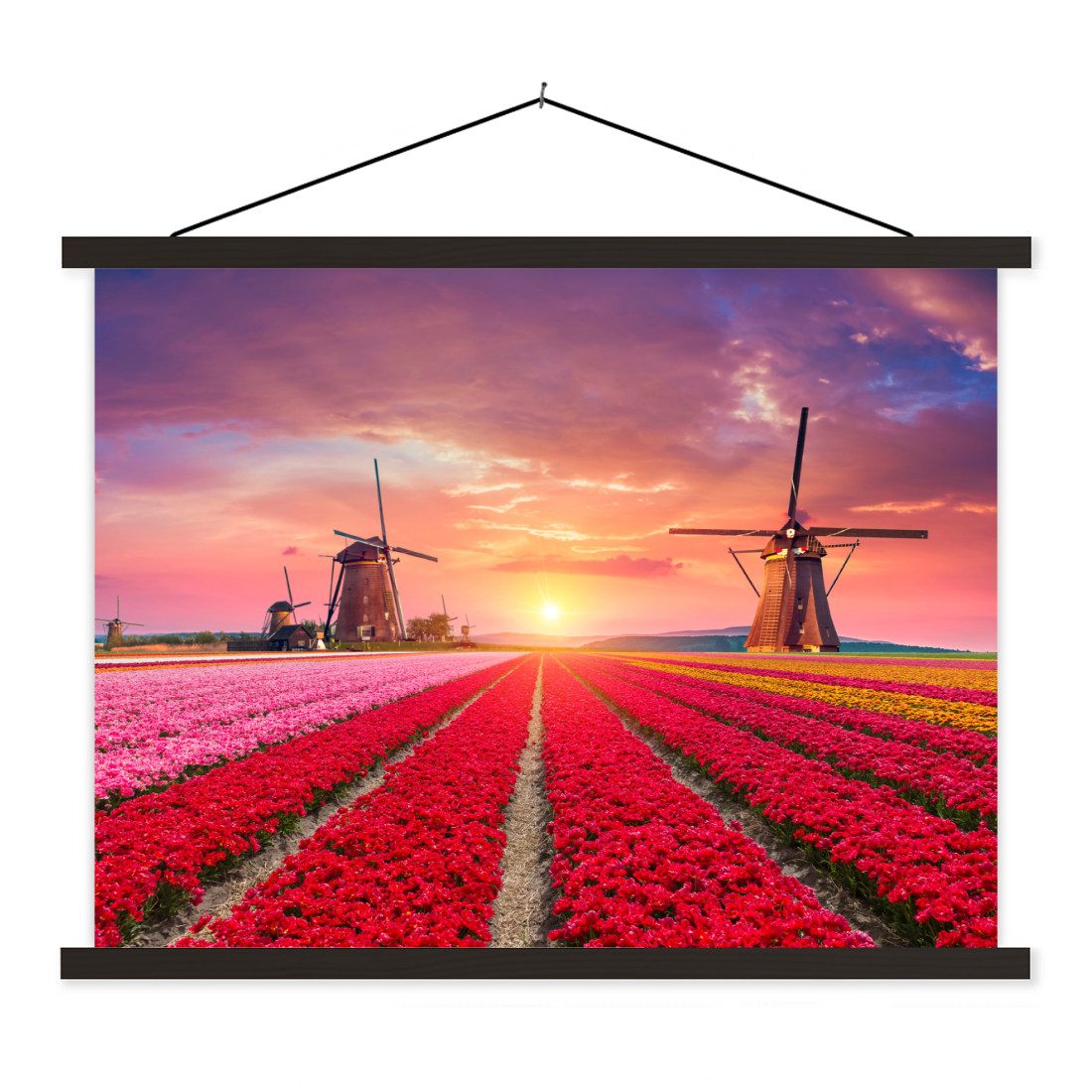 Poster Blumen - Windmühle - Tulpen - Sonnenuntergang - Rosa