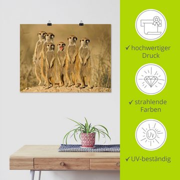 Artland Wandbild Erdmännchen Familie, Wildtiere (1 St), als Alubild, Outdoorbild, Leinwandbild, Poster, Wandaufkleber