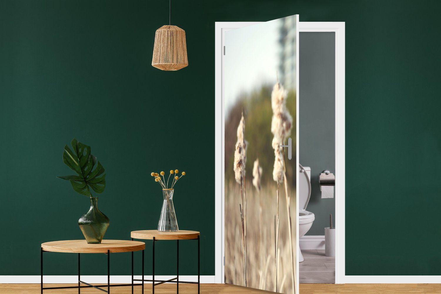 MuchoWow Türtapete St), 75x205 - Türaufkleber, Tür, Matt, - Fototapete (1 cm für bedruckt, Baumwolle Sonne Pflanzen