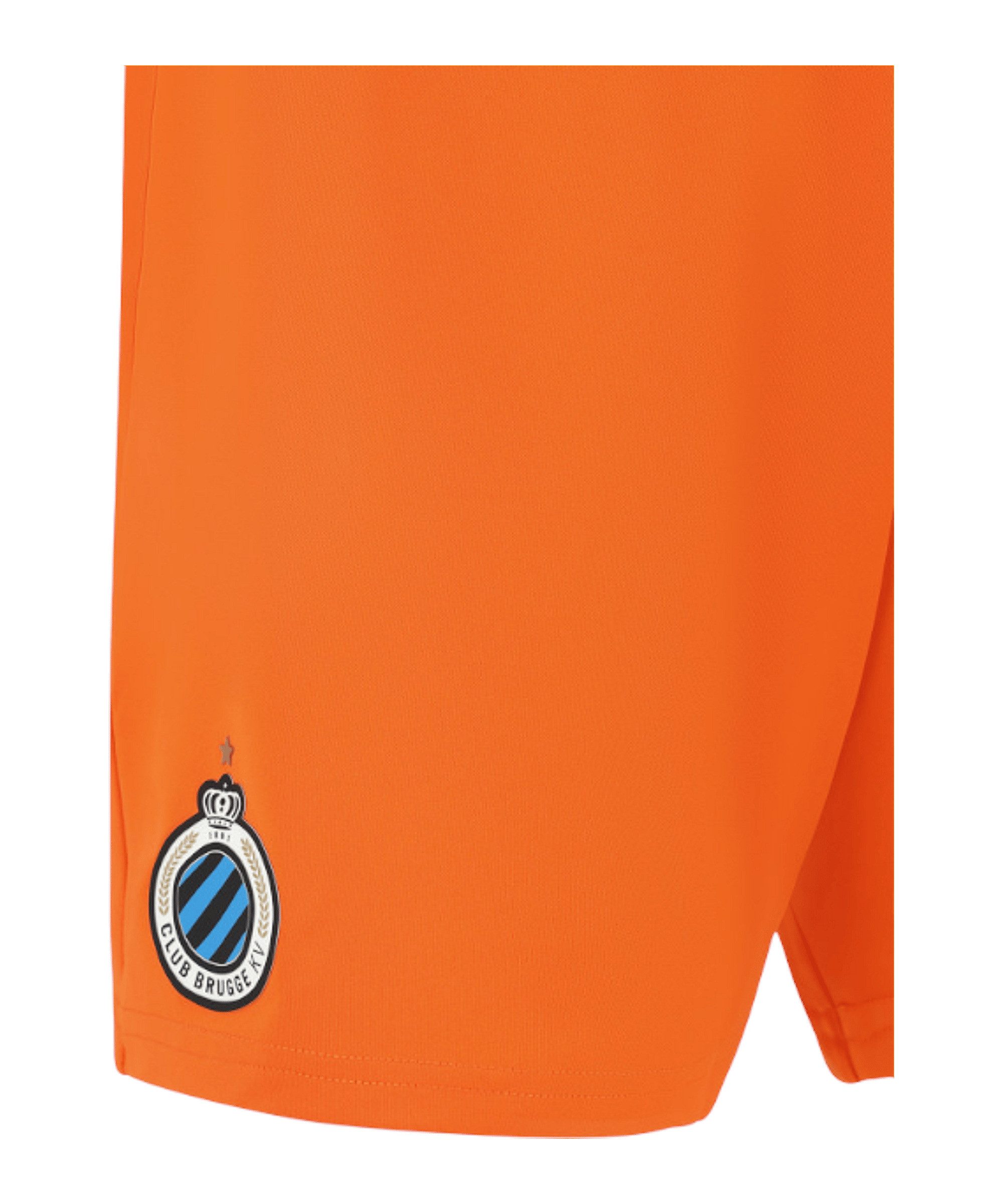 Castore Sporthose Castore FC Brügge Torwartshort Away 2025/2026