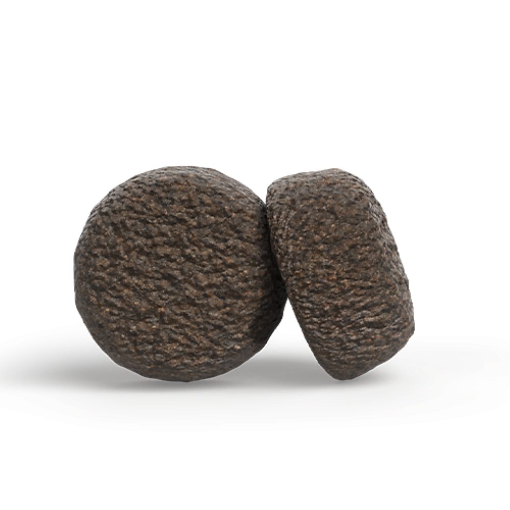 Josera Ente & Kartoffel Junior, Trockenfutter für: Hunde, Junior All Size, für wachsende Hunde aller Größen – Bild 4 von 5
