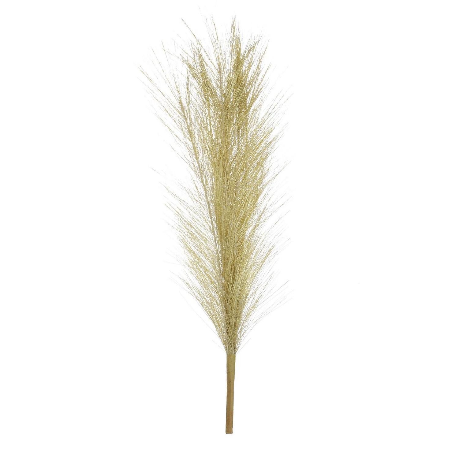 Trockenblume Künstliches Pampasgras Gold 55cm, LuxusKollektion, Höhe 1 cm