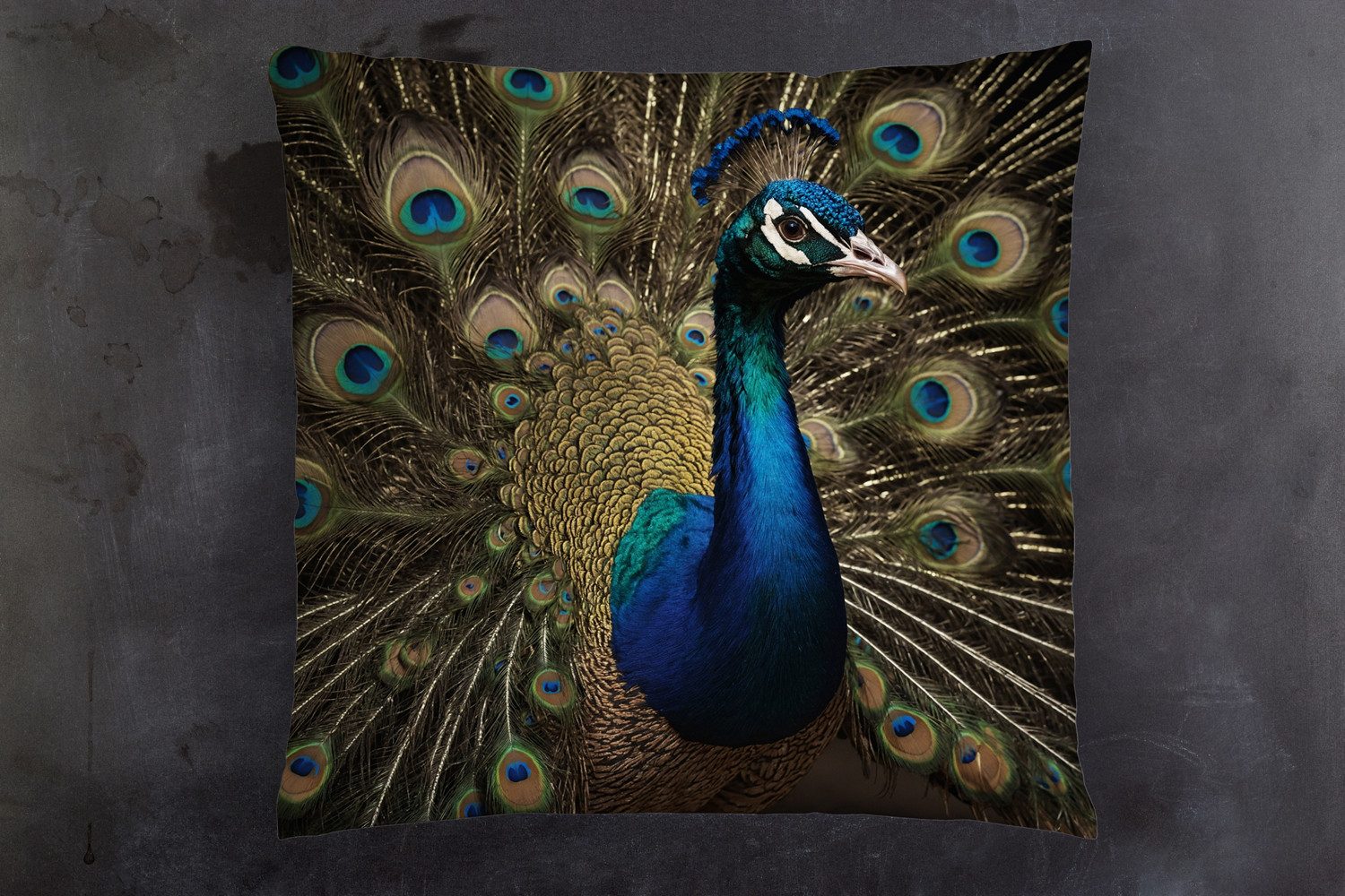 queence Dekokissen Pfau im voller Pracht, Kissenhülle mit HD Premium Druck, geruchsneutral, 40x40cm