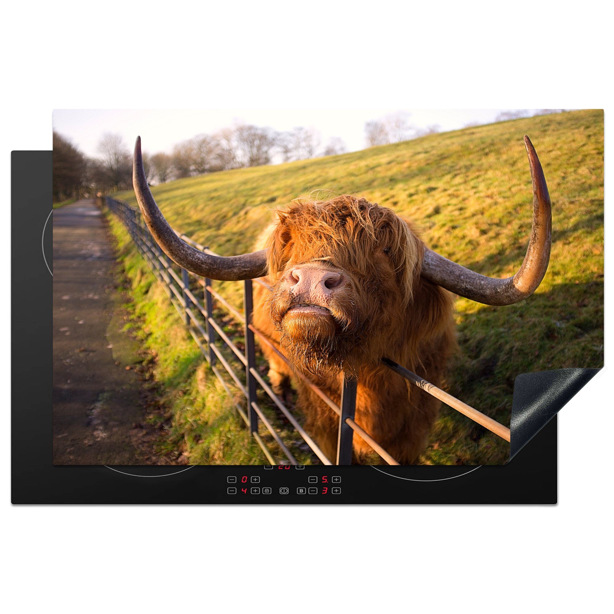 MuchoWow Herdblende-/Abdeckplatte Scottish Highlander - Zaun - Gras, Vinyl, (1 tlg), 81x52 cm, Induktionskochfeld Schutz für die küche, Ceranfeldabdeckung