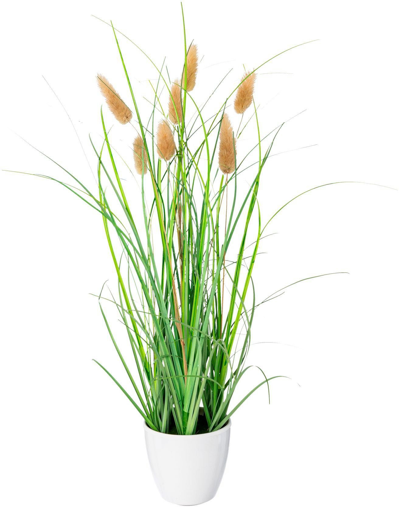 Kunstgras Grasbusch Lagurus Gras, Creativ green, günstig online kaufen