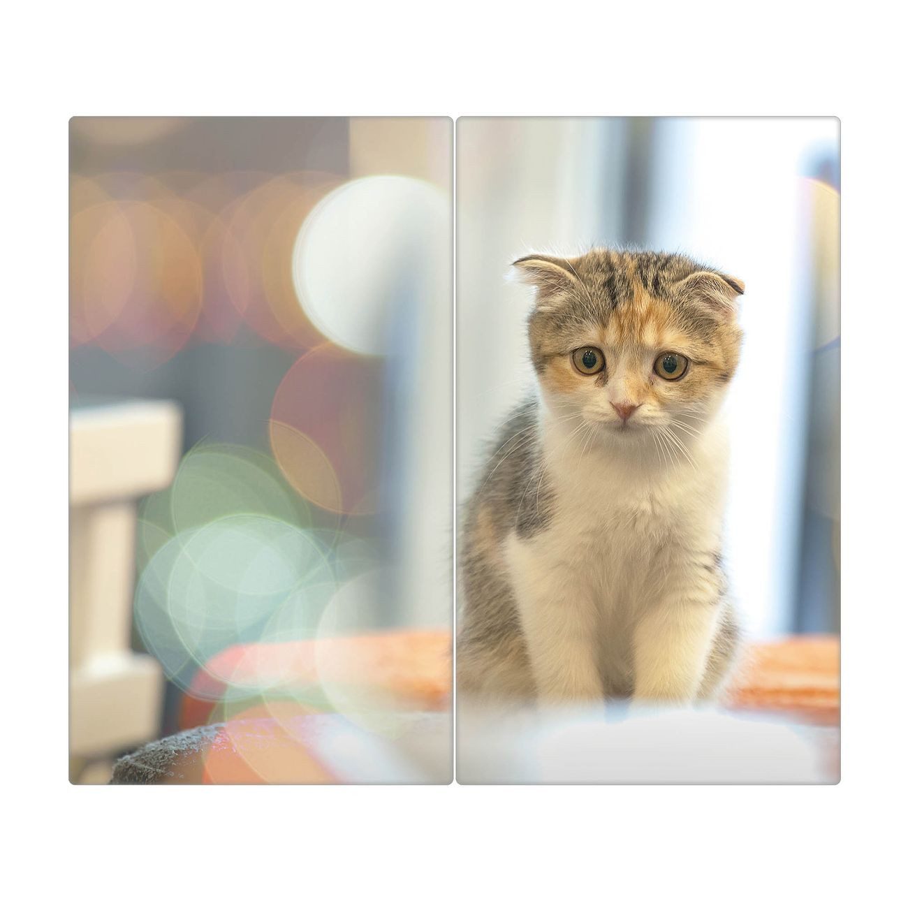banjado Herd-Abdeckplatte zweiteilig aus Glas mit Motiv Kleine Katze, (gehärtet, 2 tlg., inkl. selbstklebende Gummifüßchen)