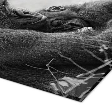 Posterlounge Acrylglasbild Holger Bücker (BuPix), Mutterliebe mit Baby Gorilla, Babyzimmer Fotografie