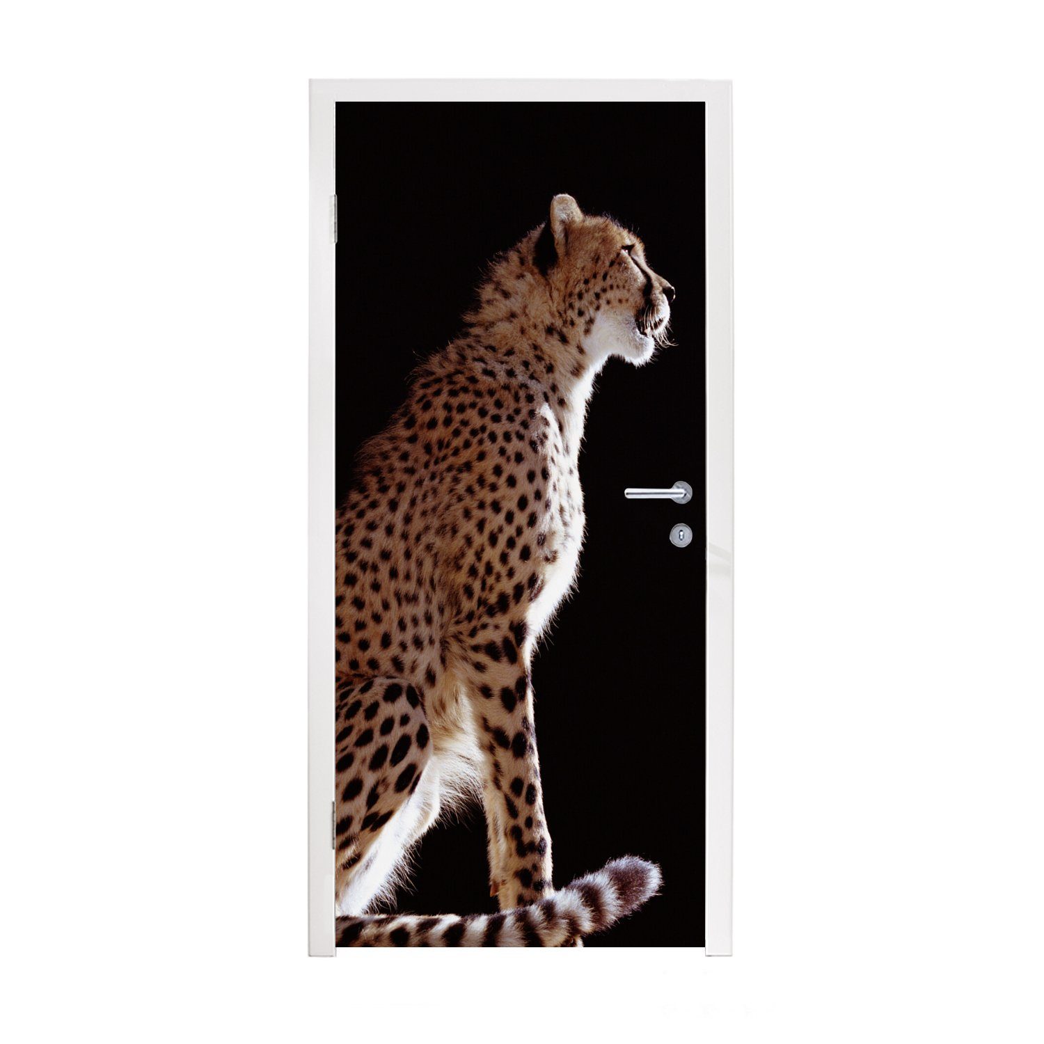 MuchoWow Türtapete Gepard - Tiere - Licht, Matt, bedruckt, (1 St), Fototapete für Tür, Türaufkleber, 75x205 cm