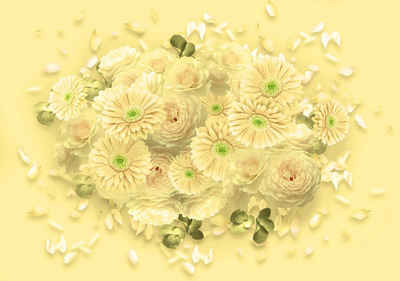 wandmotiv24 Fototapete Gelb Blumen, glatt, Wandtapete, Motivtapete, matt, Vliestapete, selbstklebend