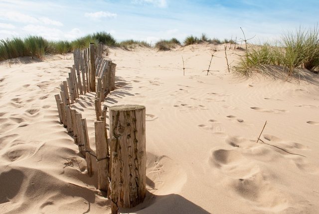 Papermoon Fototapete »Dunes Sandy Beach«, glatt-Otto