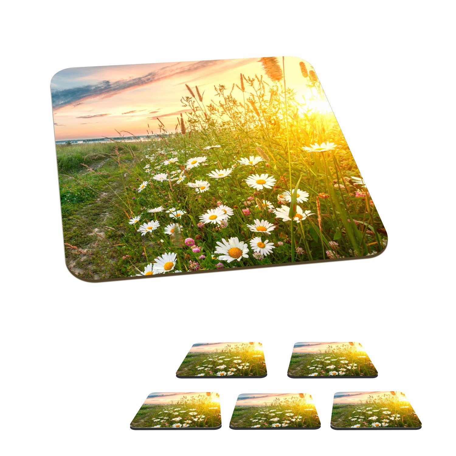 MuchoWow Glasuntersetzer Blumen - Gänseblümchen - Natur - Sonne - Horizont, Zubehör für Gläser, 6-tlg., Glasuntersetzer, Tischuntersetzer, Korkuntersetzer, Untersetzer, Tasse