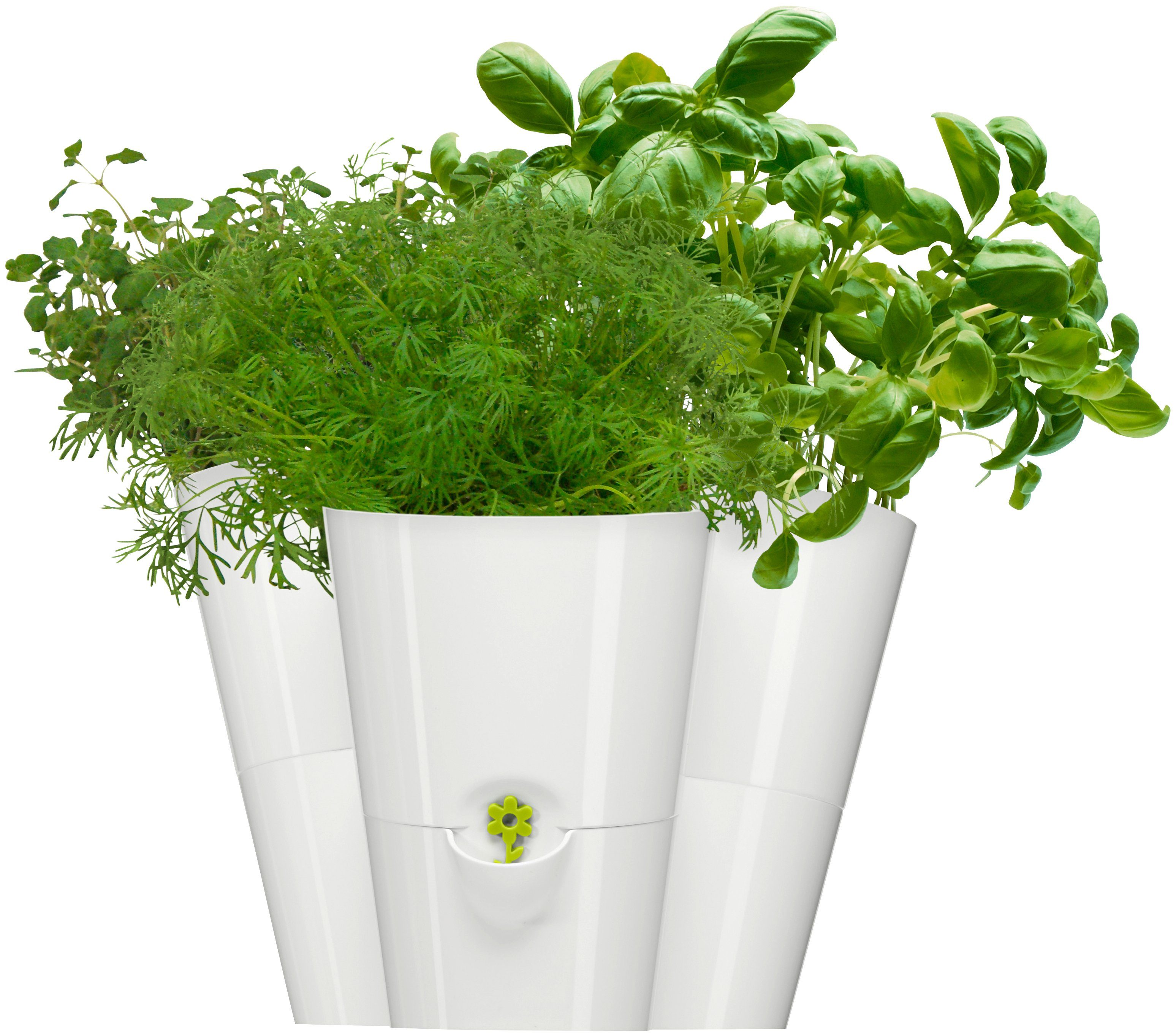 Emsa Blumenkasten »FRESH HERBS Trio«, 27x25x21cm, Kräutertopf weiß 1x