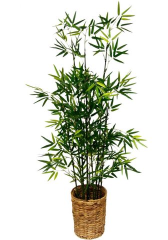  Искусственное растение »Bambus&l...