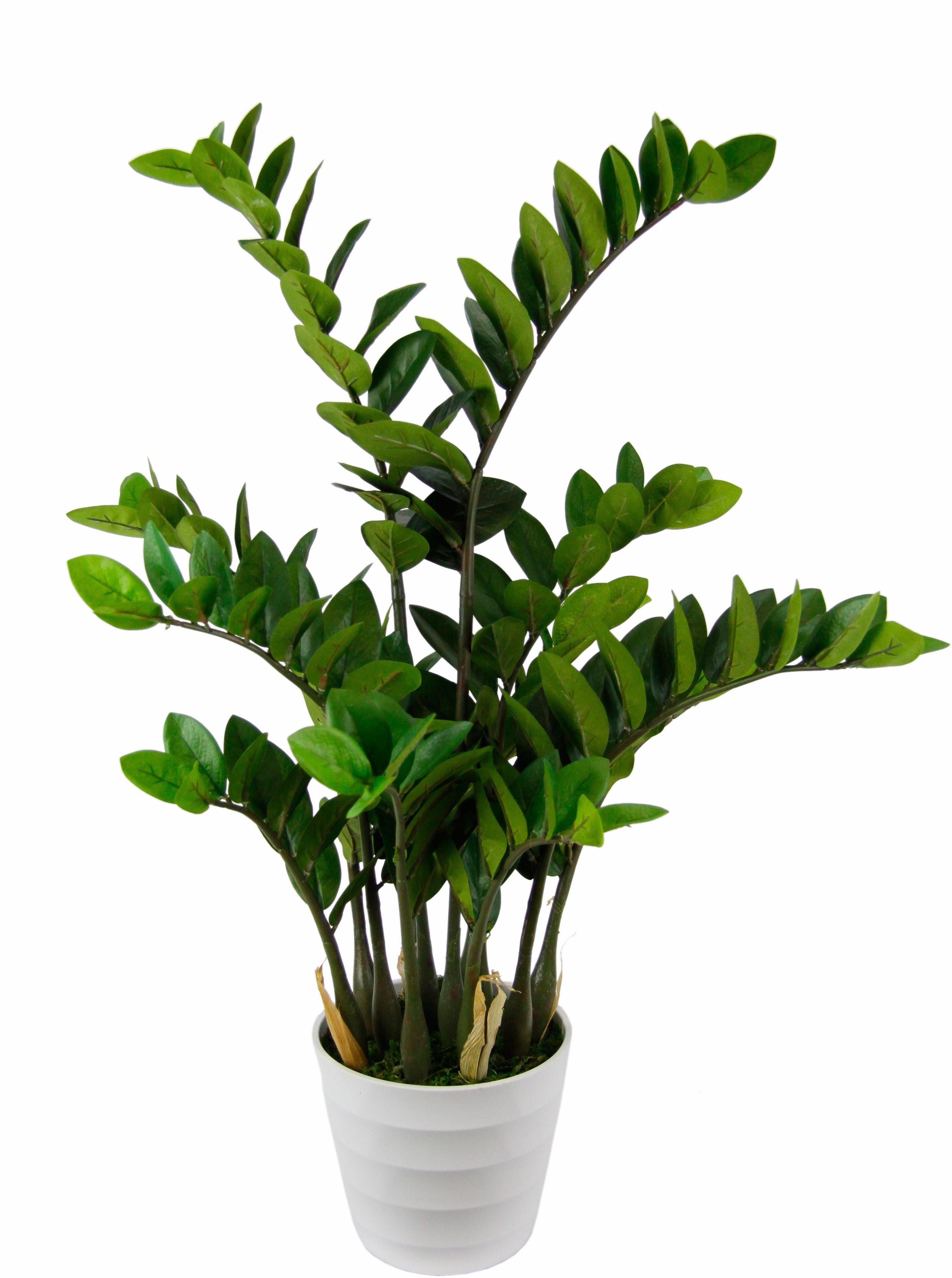 Kunstpflanze »Tropenwurz«, Höhe 88 cm, Im weißen Topf aus Kunststoff online  kaufen | OTTO
