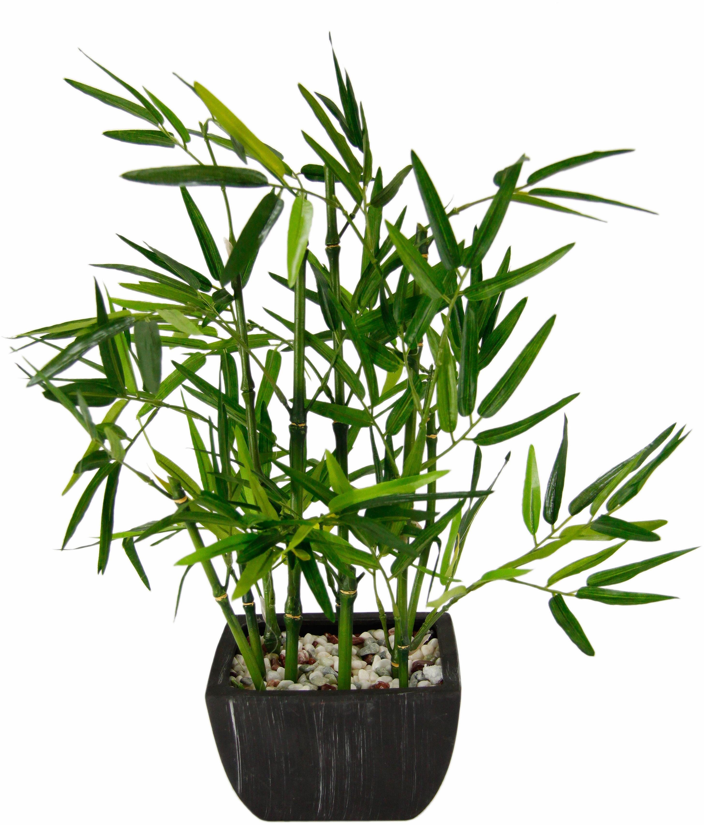 Kunstpflanze Bambus Bambus H he 45 cm Dekorative Kunstpflanze Bambus Bambus H he 45 cm Dekorative