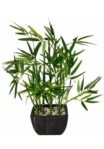  Искусственное растение »Bambus&l...