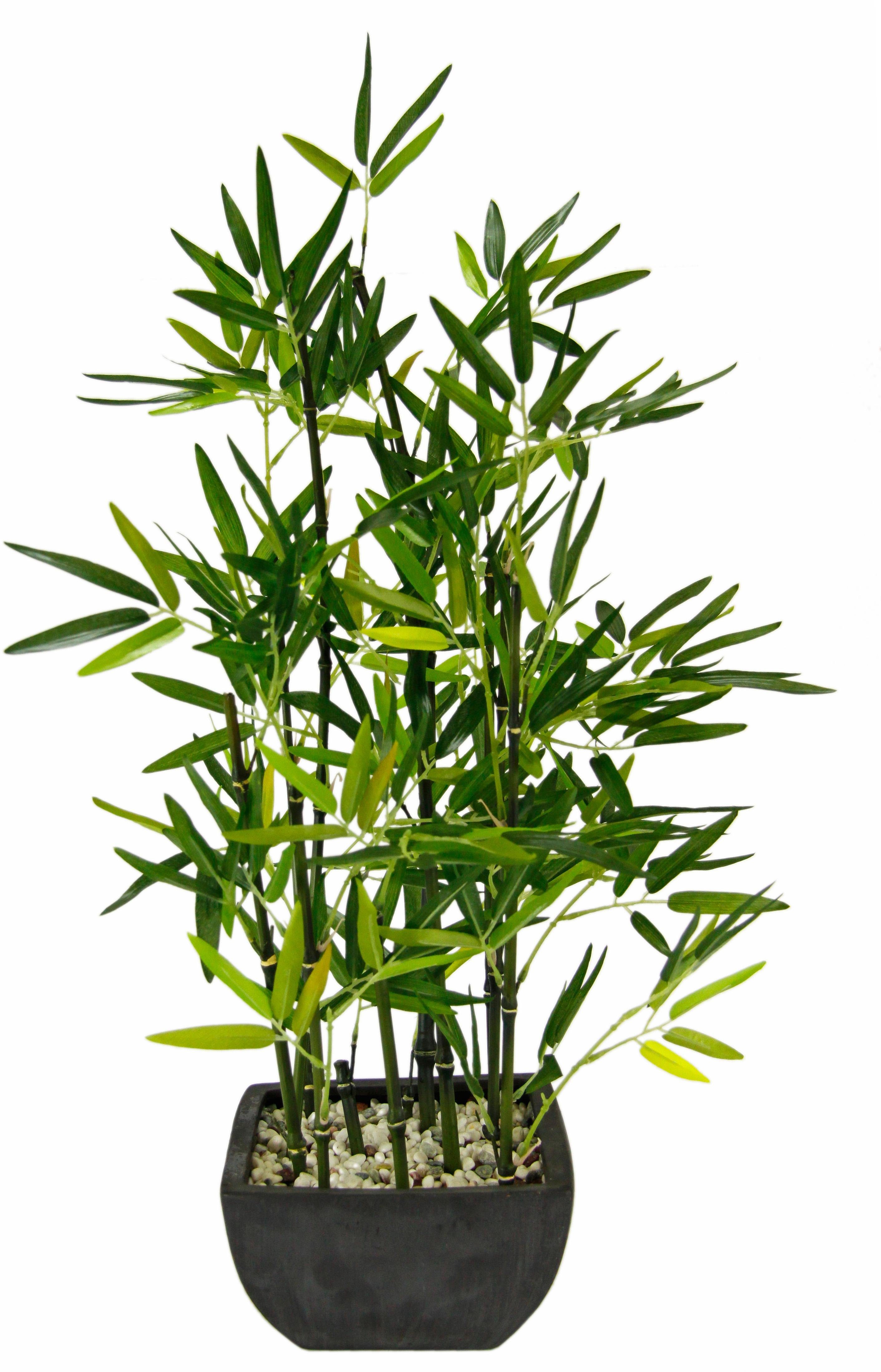 Kunstpflanze »Bambus« Bambus, Höhe 75 cm, Dekorative Kunstpflanze online  kaufen | OTTO