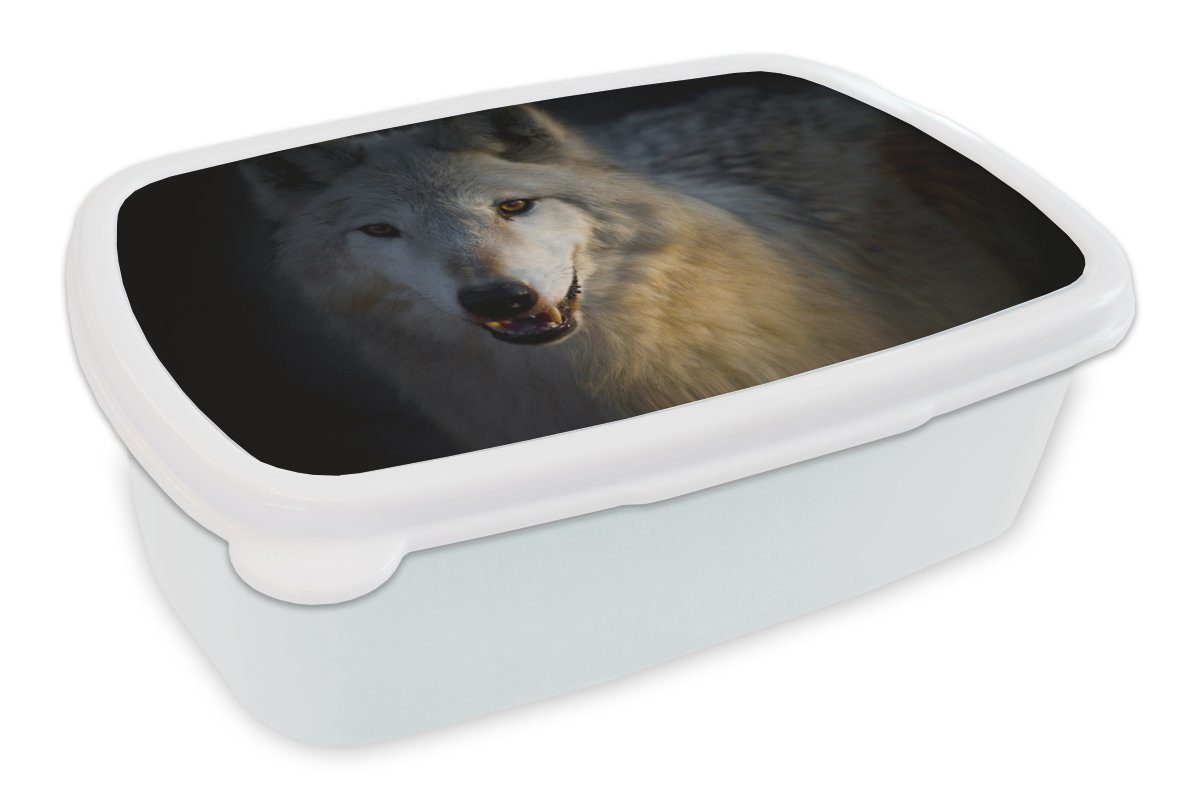 MuchoWow Lunchbox Nahaufnahme eines arktischen Wolfs, Kunststoff, (2-tlg), Brotbox für Kinder und Erwachsene, Brotdose, für Jungs und Mädchen weiß