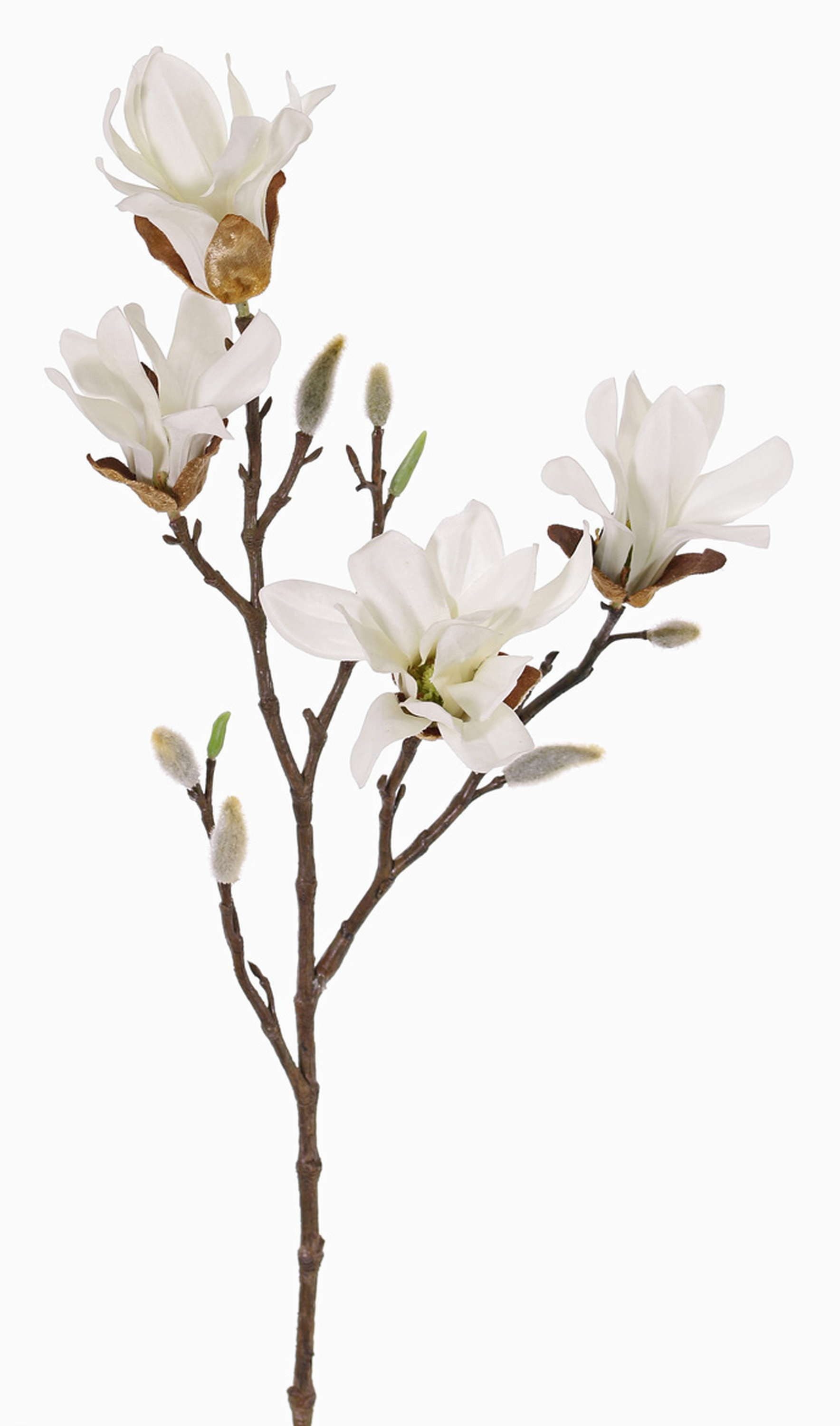 Kunstzweig Künstliche Sternmagnolie Azula, Creme, 60cm, Ø7-9cm Magnolie (Sternmagnolie), artplants