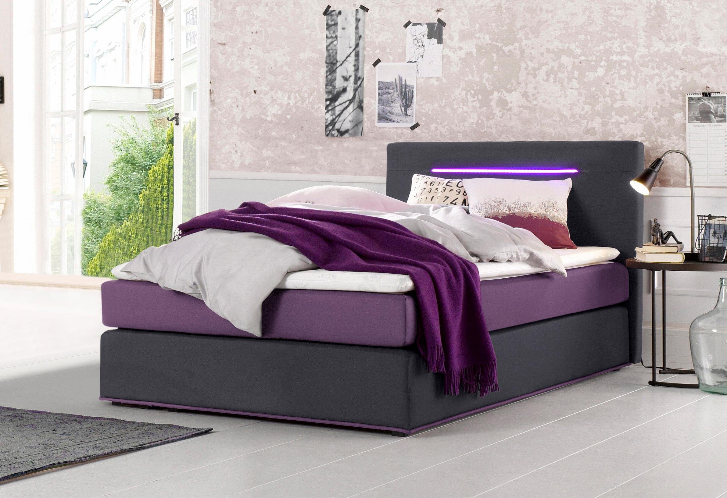 COLLECTION AB Boxspringbett in anthrazit-brombeer