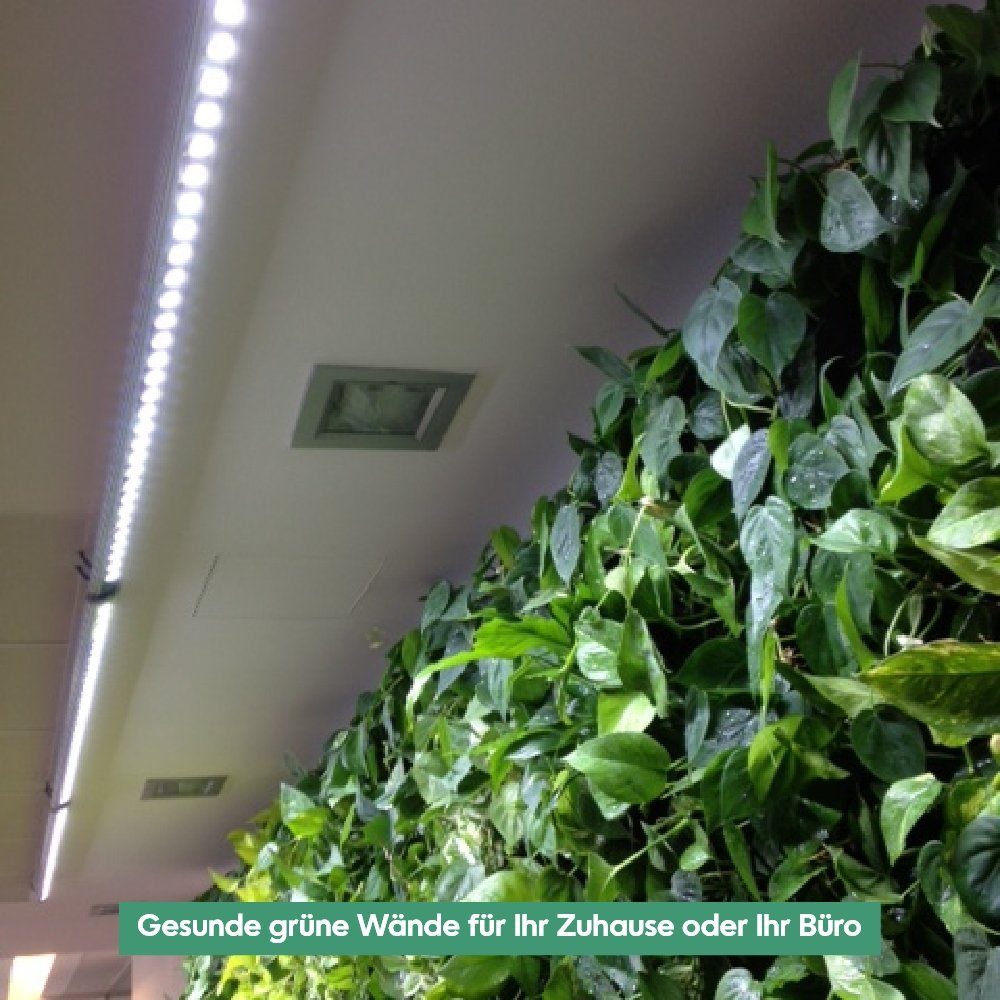 White PARUS Leuchtmittel Grow Indoor 15° für Spektrum, Wall plants, Pflanzenlampe Spot Pflanzen, 60cm, Abstrahlwinkel