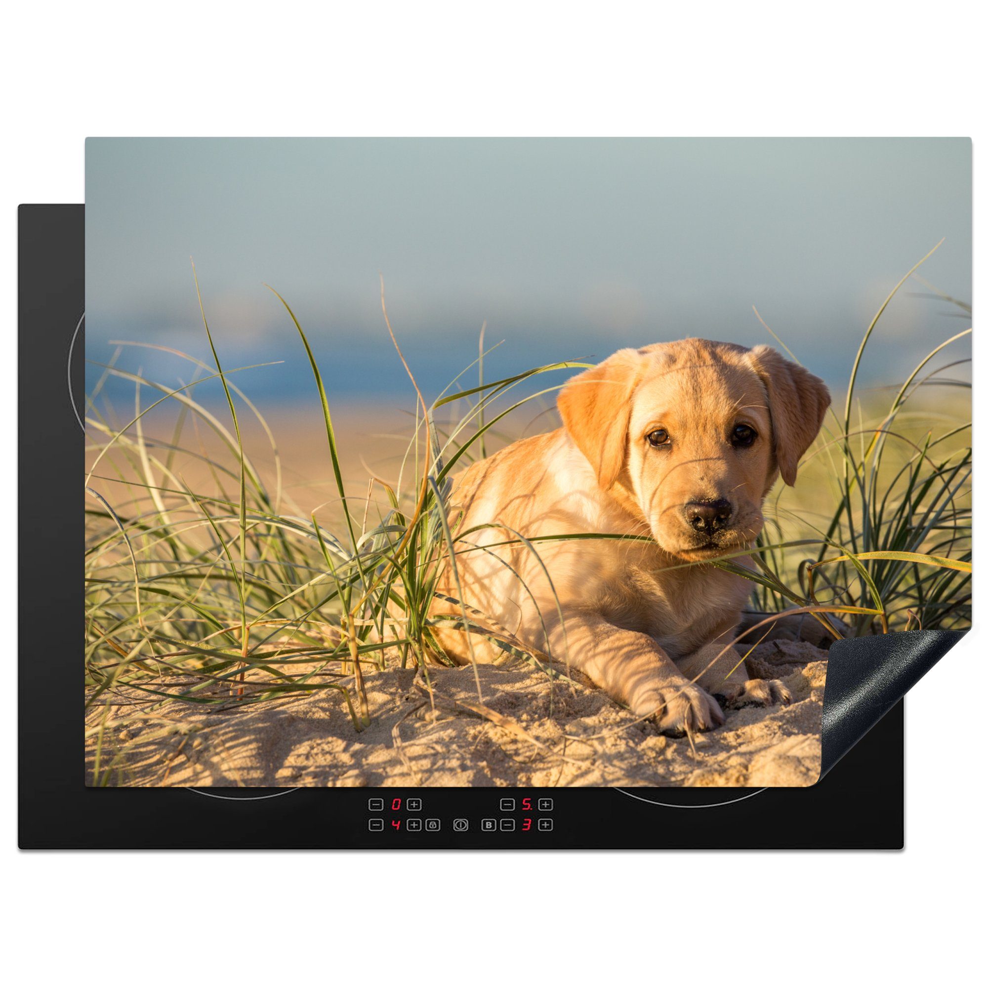 MuchoWow Herdblende-/Abdeckplatte Labrador Retriever Welpe liegt auf den Sanddünen, Vinyl, (1 tlg), 70x52 cm, Mobile Arbeitsfläche nutzbar, Ceranfeldabdeckung