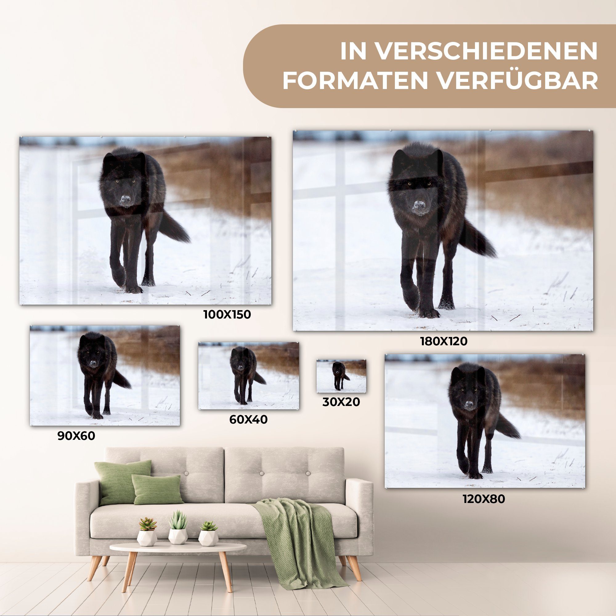 Acrylglasbilder - Wohnzimmer Schnee - Schwarz, St), Acrylglasbild (1 & MuchoWow Schlafzimmer Wolf