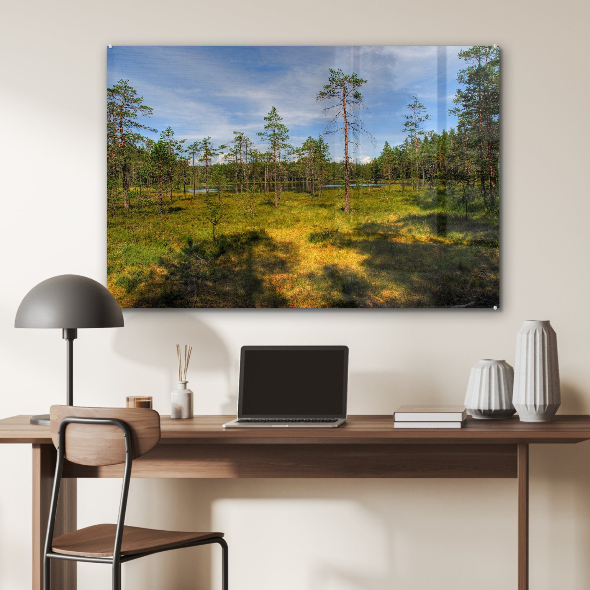 in Acrylglasbilder & Bäume (1 den Wohnzimmer des Mooren MuchoWow Schlafzimmer Hohe Schweden, Skuleskogen-Nationalparks in Acrylglasbild St),