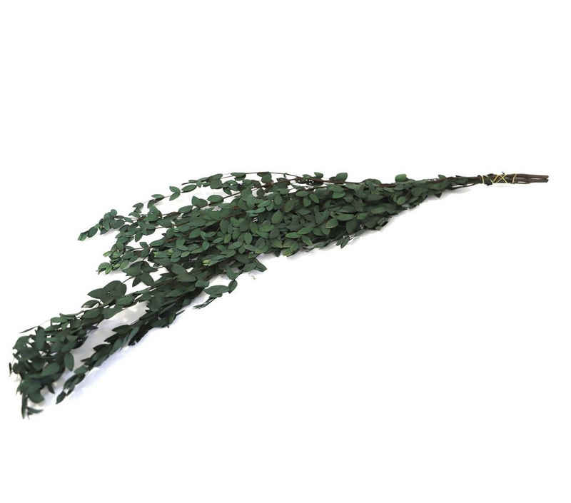 Trockenblume Getrockneter Eukalyptus mit kleinen Blättern, Kunstharz.Art