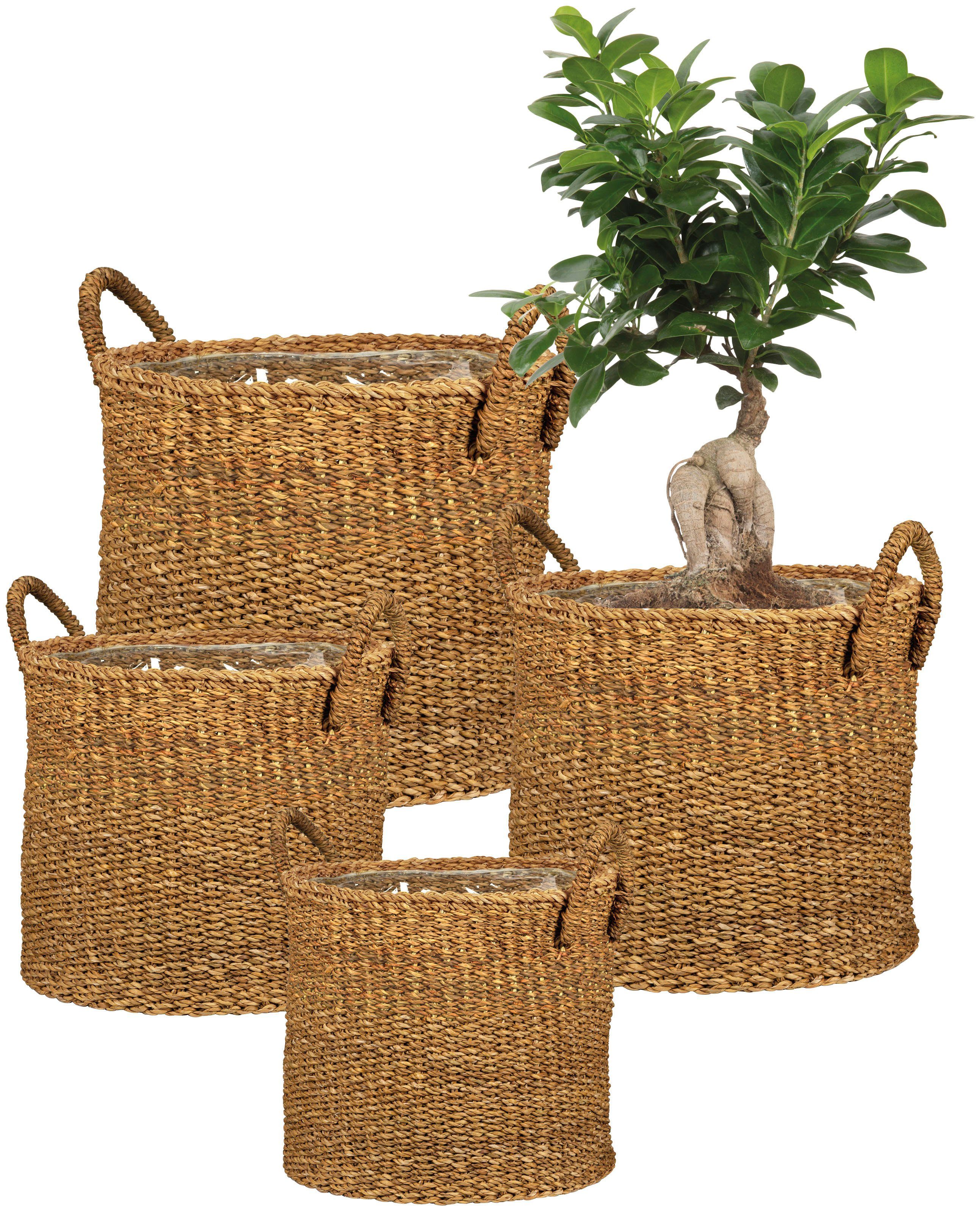 Scheurich Blumentopf nut 27/516 günstig online kaufen
