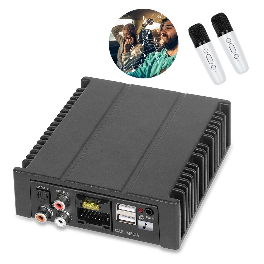 Hikity Auto-Audio-DSP-Verstärker Universal Колонкиsystem (Mit zwei Mikrofonen, Unterstützung für drahtloses Mikrofon Bluetooth Musik USB-Wiedergabe)