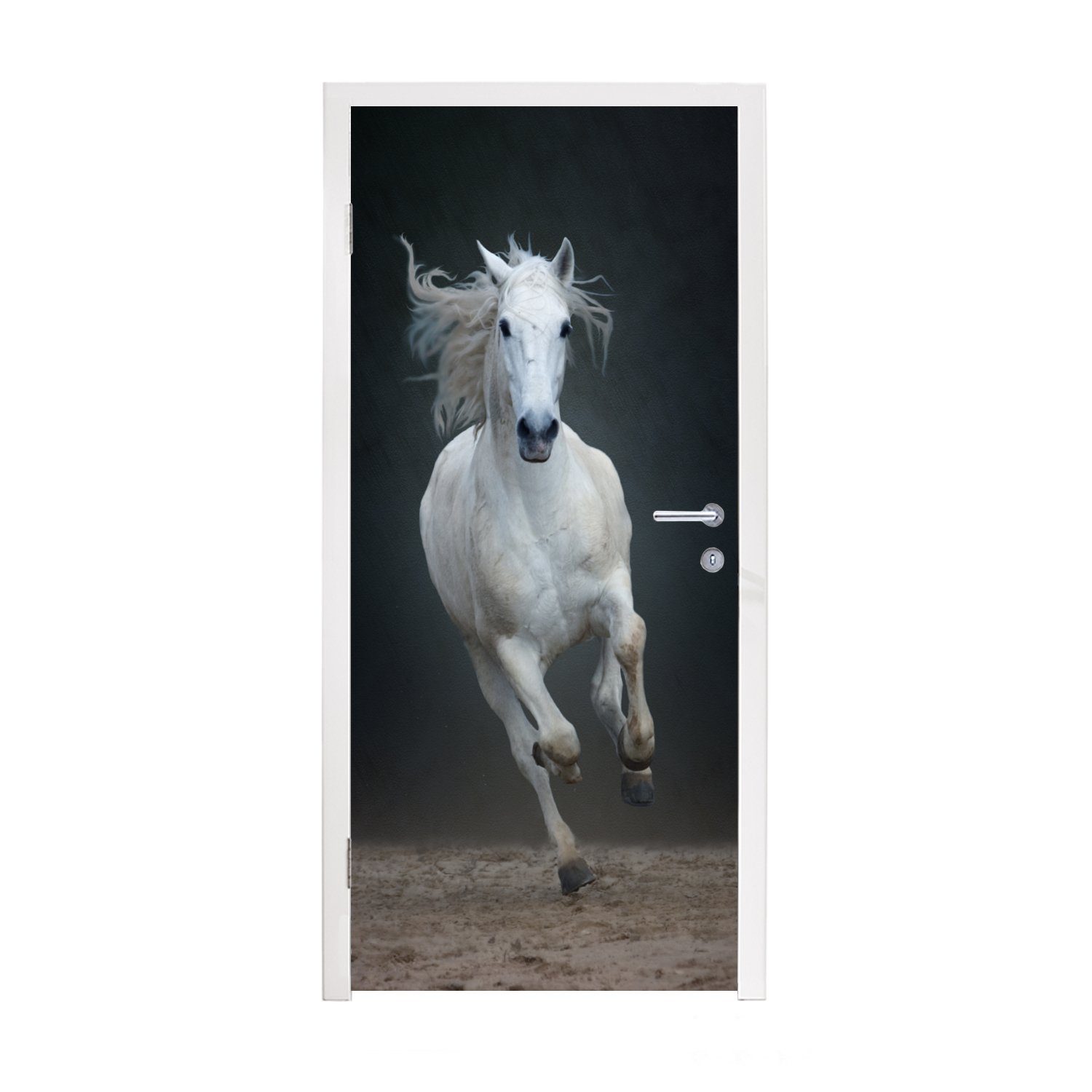 MuchoWow Türtapete Pferd - Pilz - Sand, Matt, bedruckt, (1 St), Fototapete für Tür, Türaufkleber, 75x205 cm