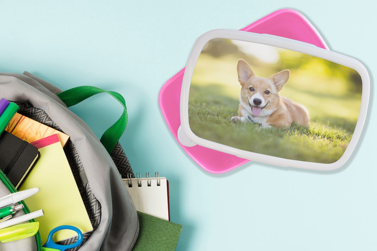 Corgi MuchoWow Erwachsene, Brotdose (2-tlg), Snackbox, Kunststoff, Kinder, Lunchbox für Mädchen, Welsh Kunststoff Welpe, rosa Brotbox