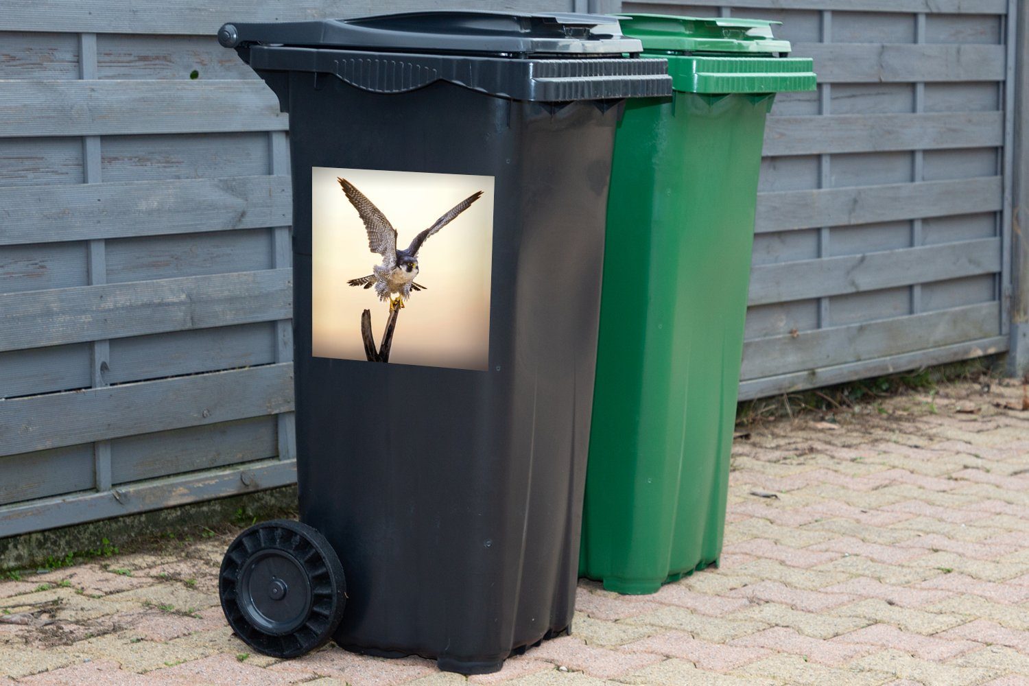 - Wanderfalke MuchoWow (1 Sticker, St), Container, Flügel - Mülleimer-aufkleber, Mülltonne, Abfalbehälter Sonne Wandsticker
