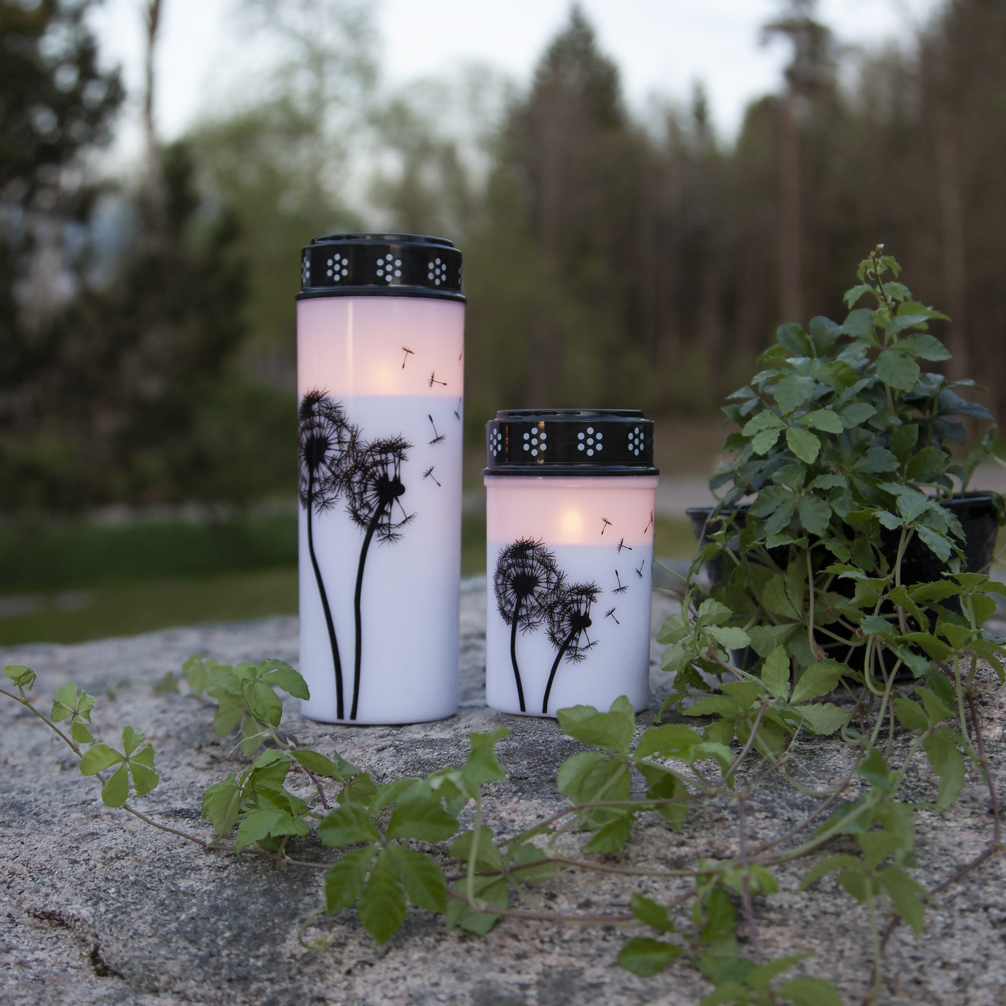 STAR TRADING LED-Kerze Dandelion (1-tlg) – Bild 5 von 5