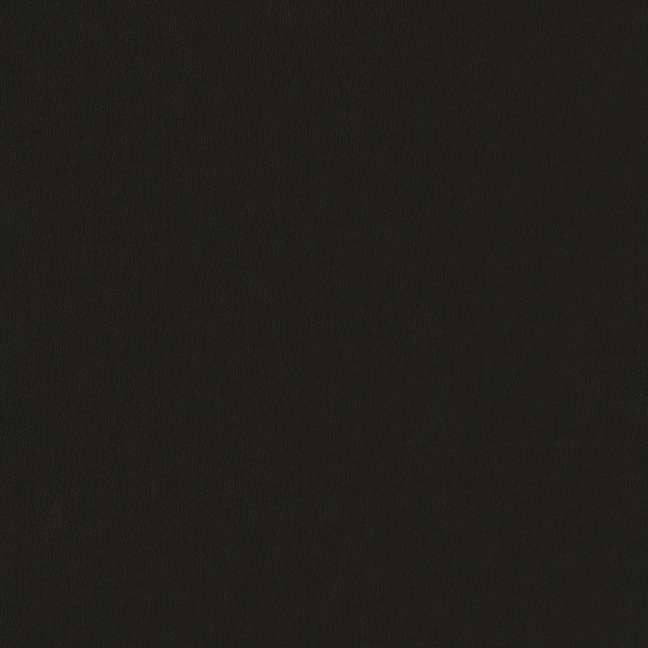 mit Metallfüßen cm W.SCHILLIG sally, in schwarz Breite Z59 154 2-Sitzer Schwarz pulverbeschichtet,