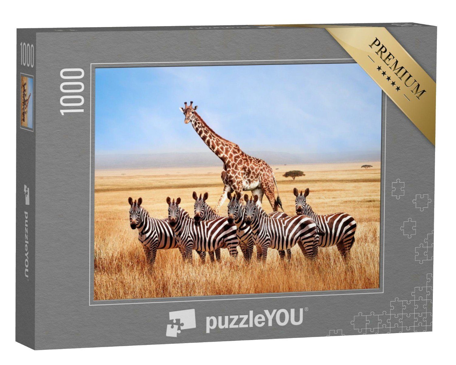 puzzleYOU Puzzle Zebras und Giraffe in der afrikanischen Savanne, 1000 Puzzleteile, puzzleYOU-Kollektionen Zebras, Safari, Tiere in Savanne & Wüste