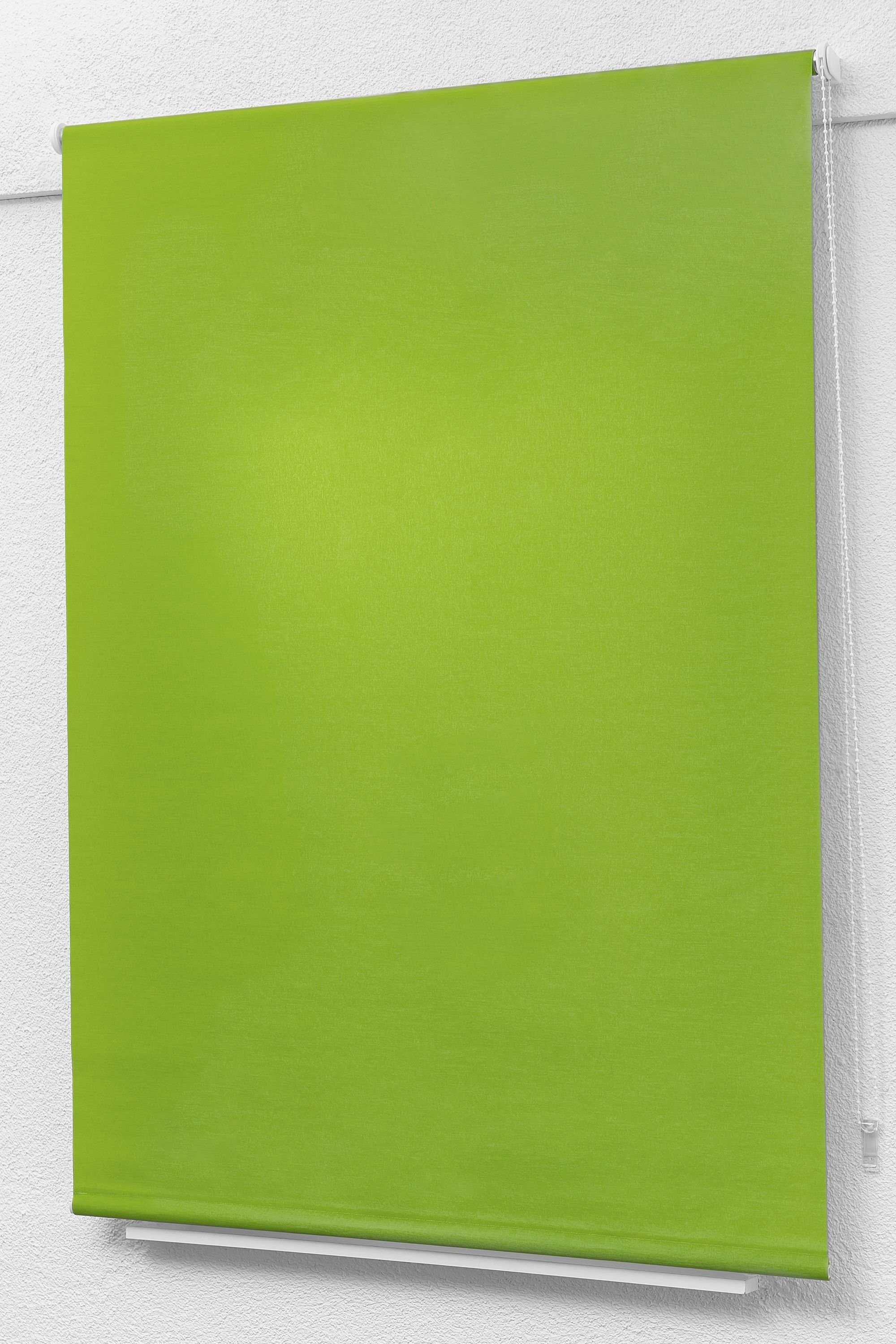 LYSEL®, Basisrollo blickdicht, Rollo HxB 175x102.5cm Apfelgrün, Tageslicht